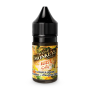 Bliss by Twelve Monkeys Salt