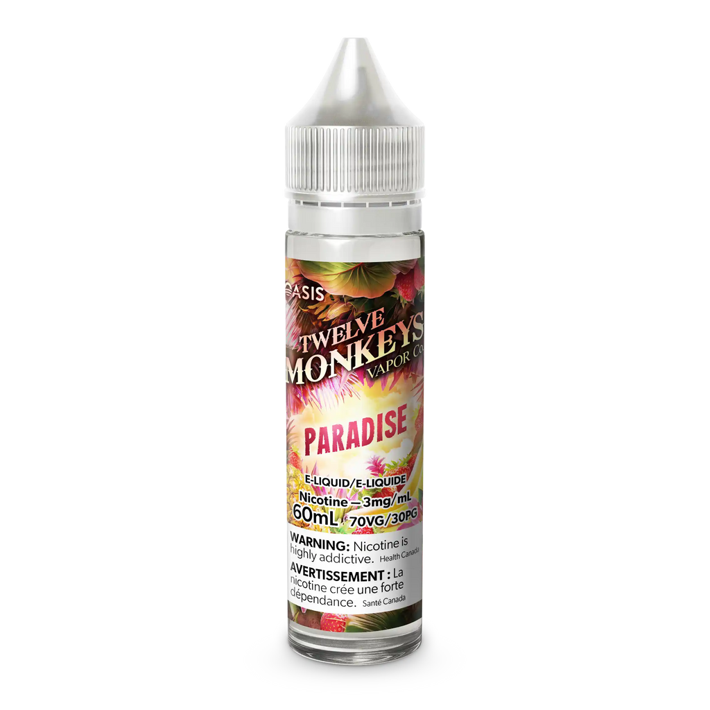 Paradise by Twelve Monkeys