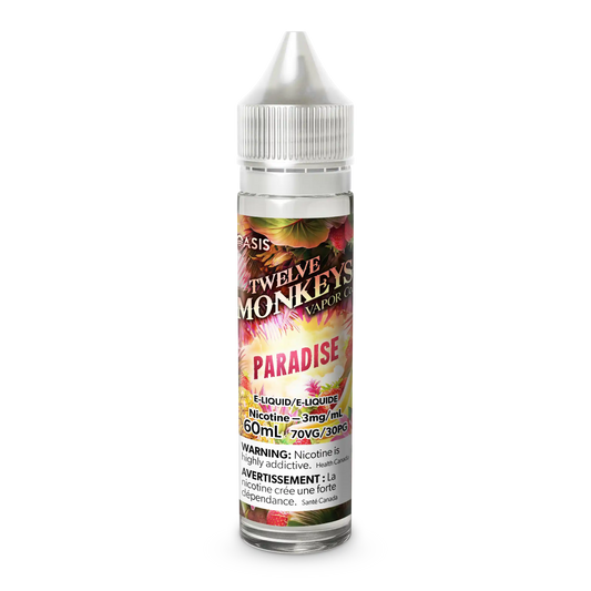 Paradise by Twelve Monkeys