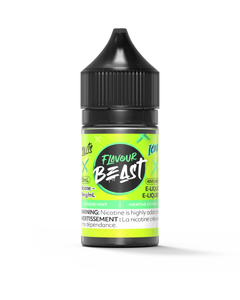 Menthe extrême glacée par Flavour Beast Salt