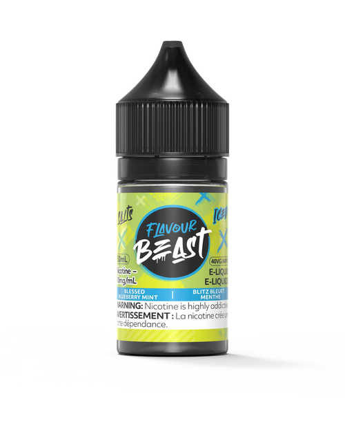 Blessed Blueberry Mint Iced by Flavour Beast Salt