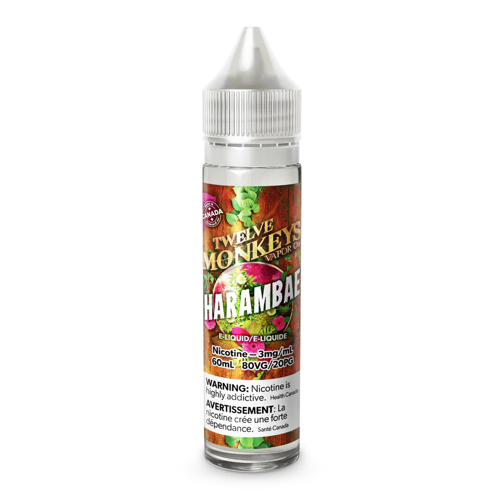 Harambae by Twelve Monkeys