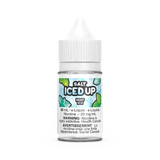 Mint Ice by Iced Up Salt