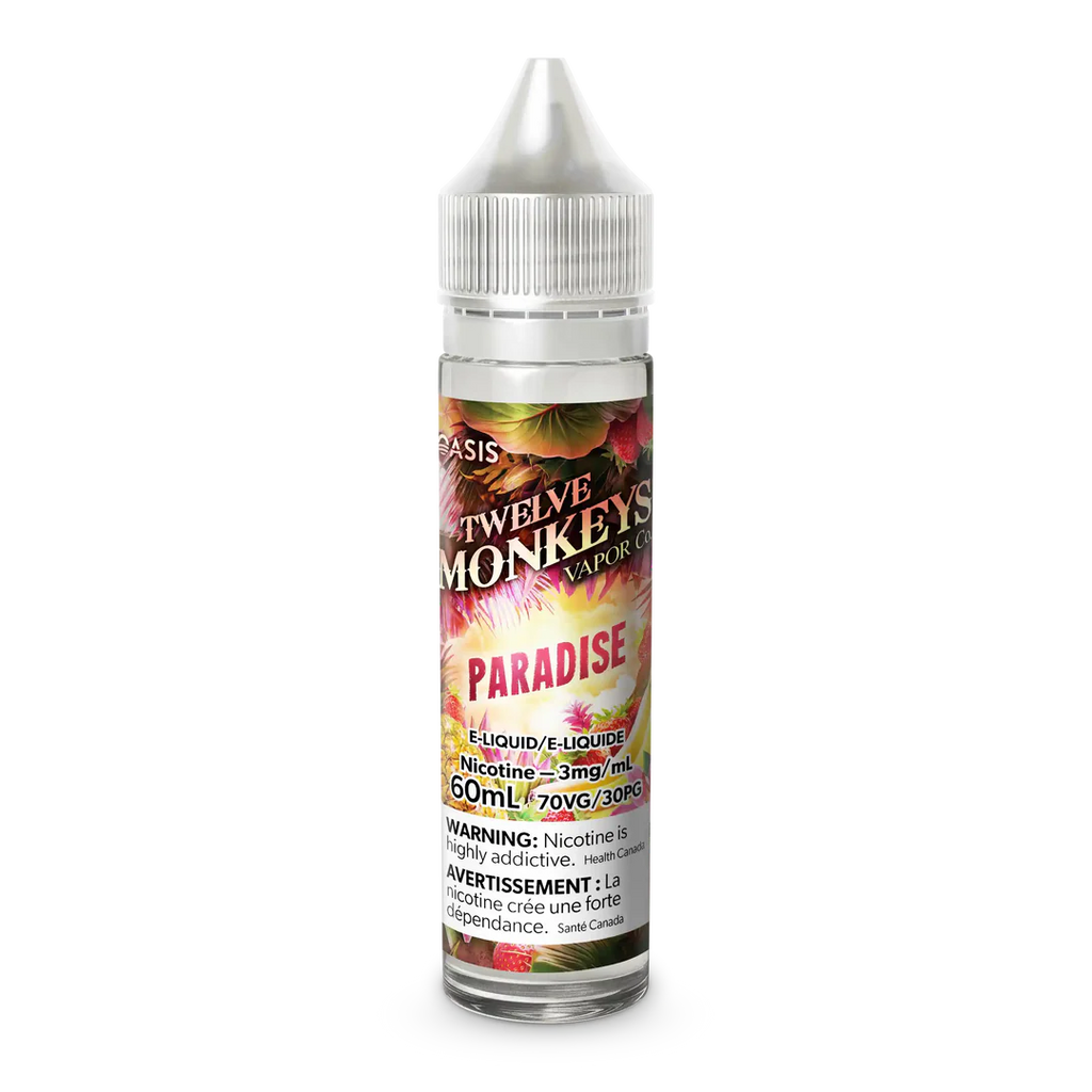 Paradise by Twelve Monkeys