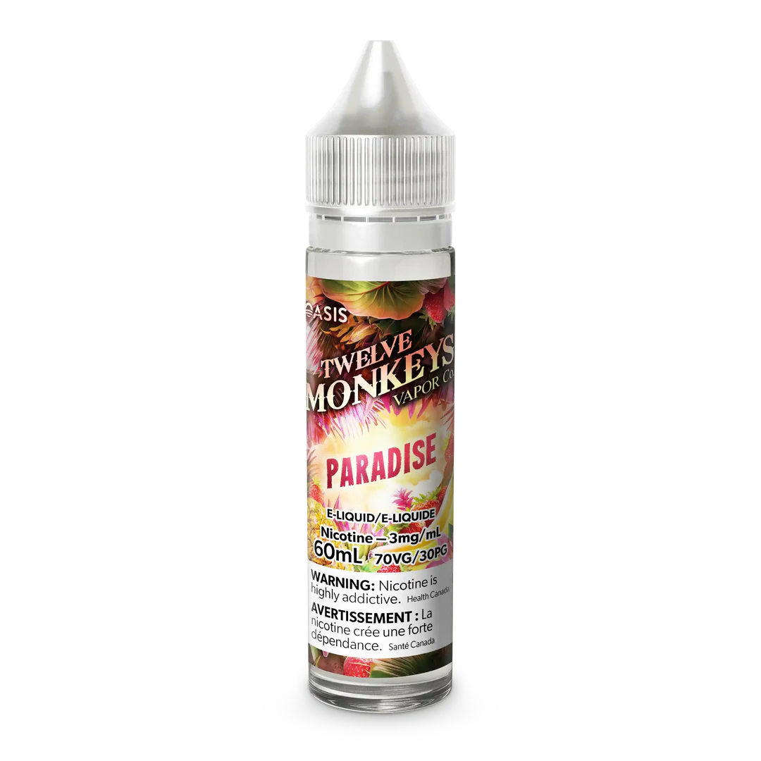 Paradise by Twelve Monkeys
