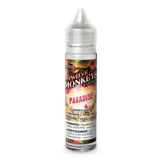 Paradise by Twelve Monkeys