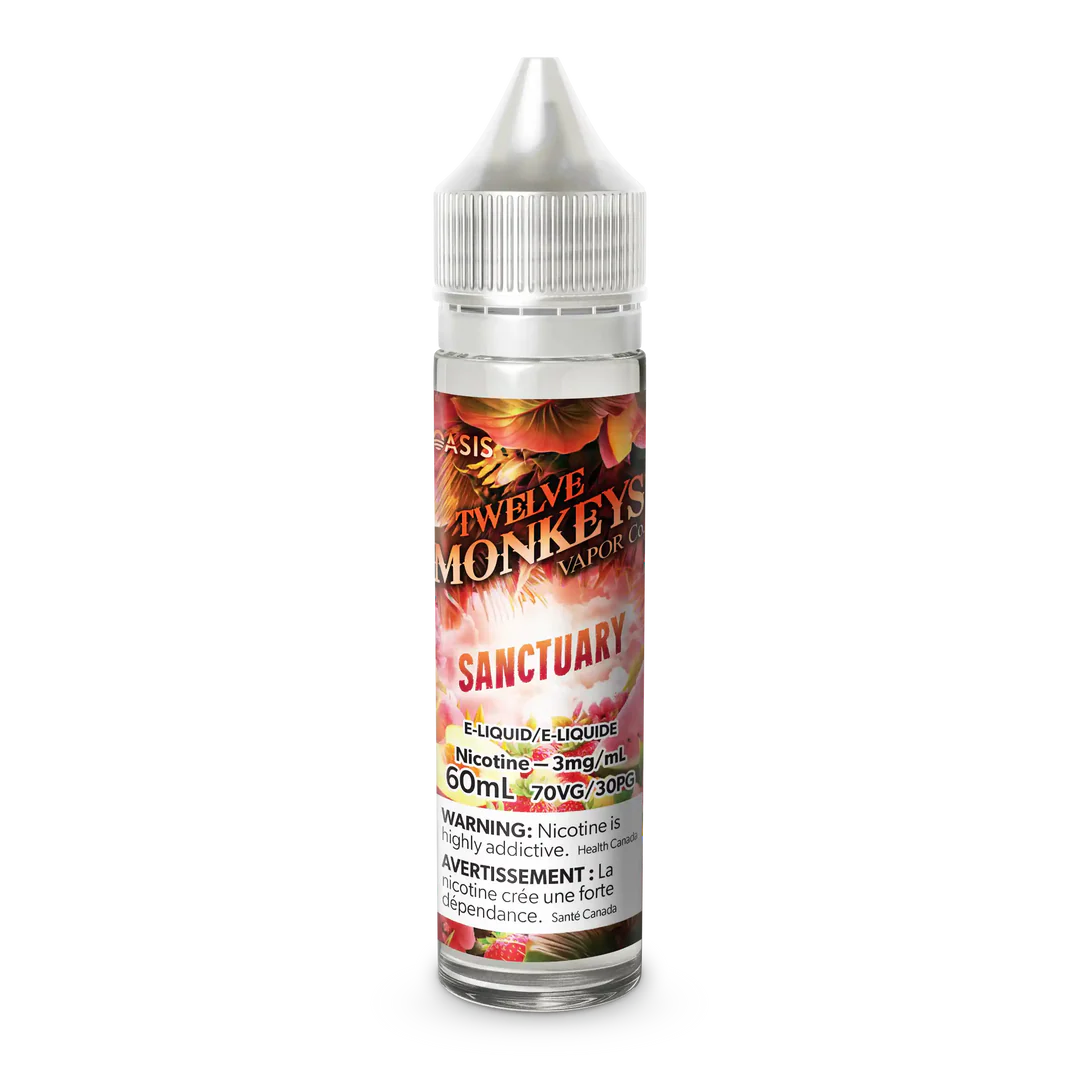 Sanctuary by Twelve Monkeys