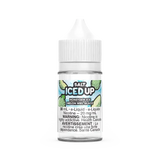 Honeydew Ice by Iced Up Salt