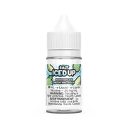 Melon miel glacé par Iced Up Salt